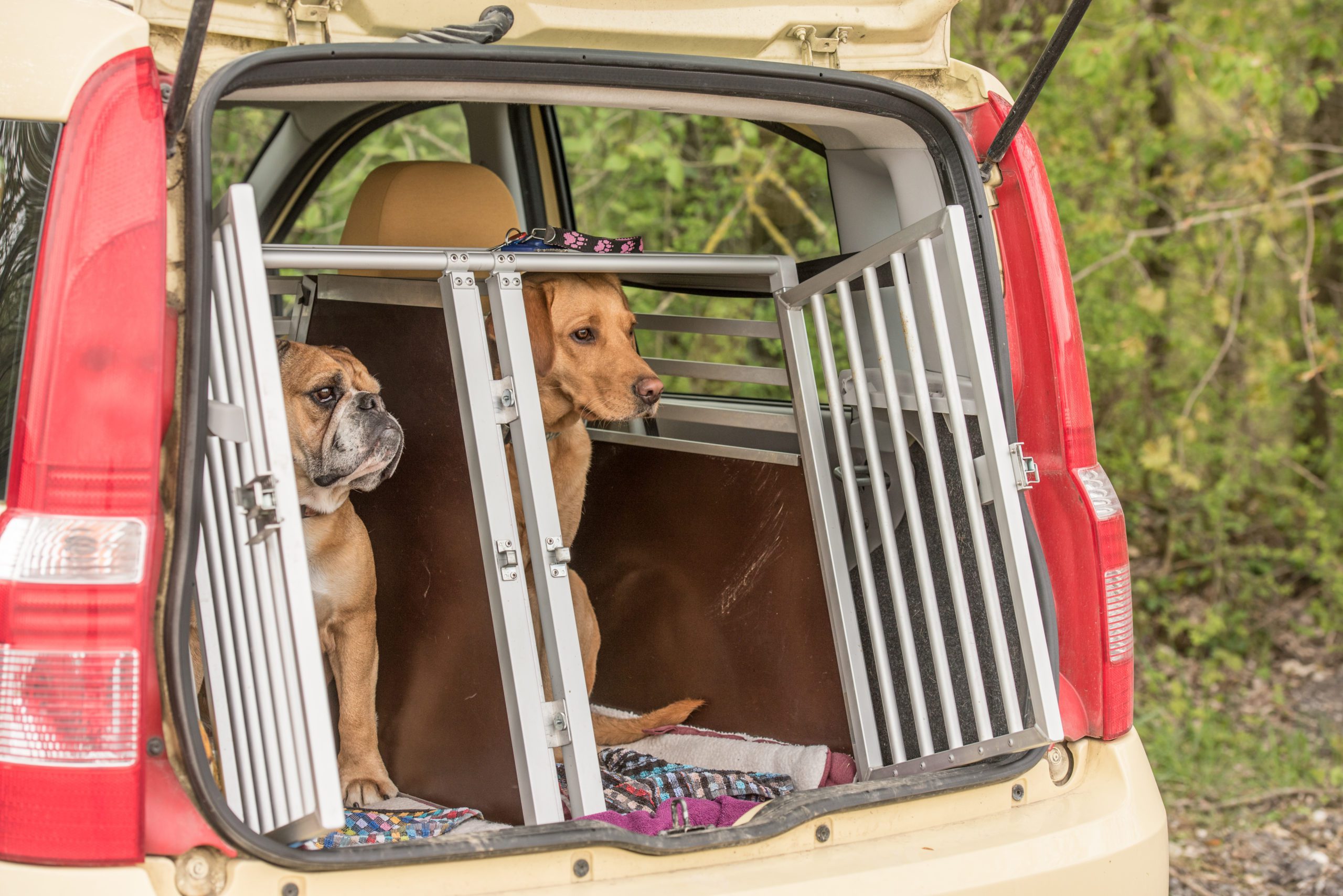 REJA SUPERIOR SEGURIDAD COCHE 96-145 cm Transporte de Perros