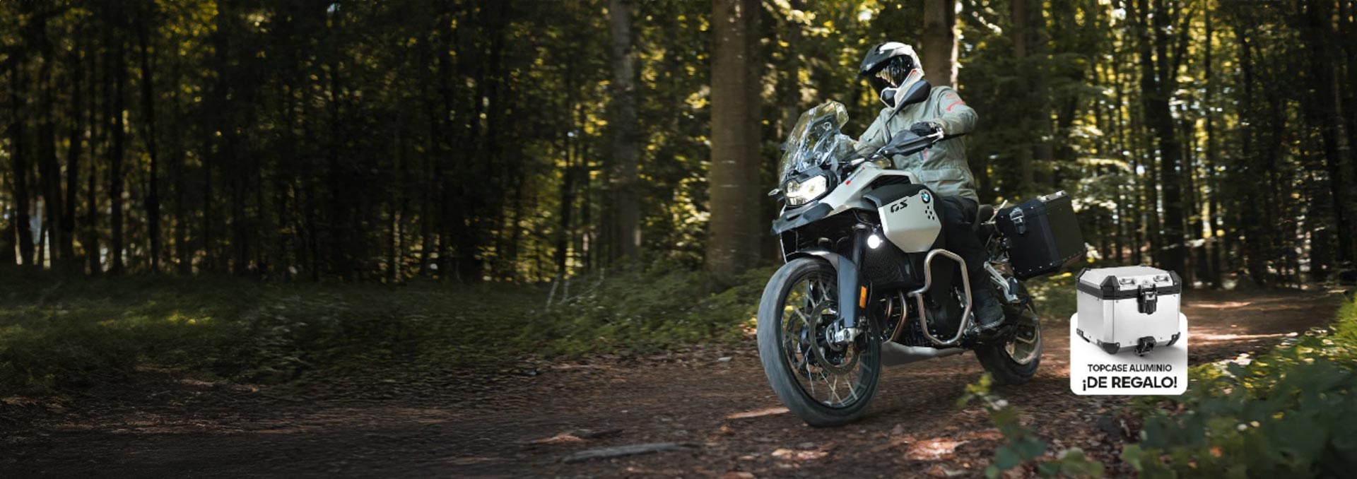F 900 GS ADV